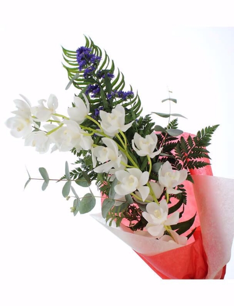Picture of Pick your Colour Orchid Presentation Bouquet