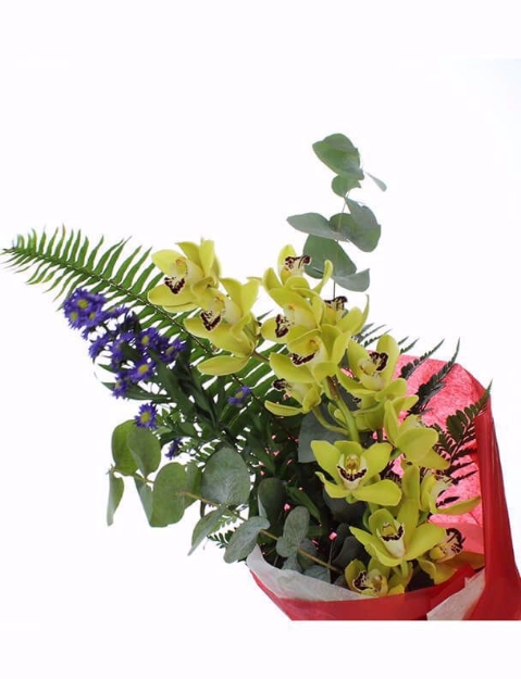 Picture of Pick your Colour Orchid Presentation Bouquet - Graduation - School Specific