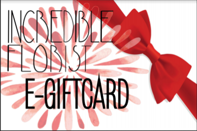 Show details for $75 E-Gift Card Picture of $75 E-Gift Card