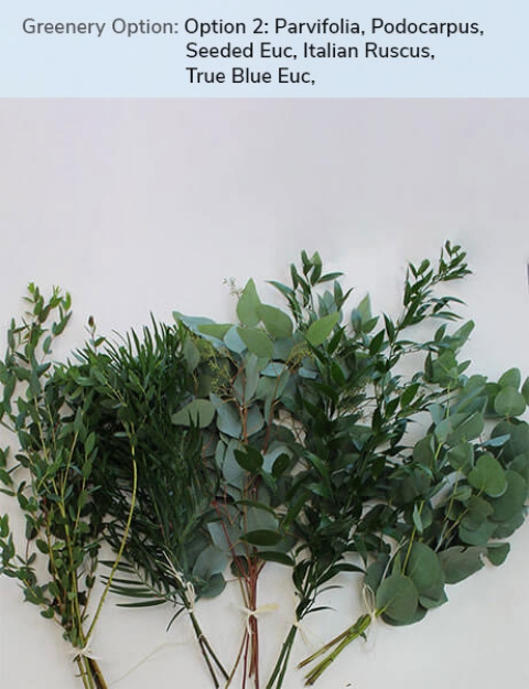 Option 2: Parvifolia, Podocarpus, Seeded Euc, Italian Ruscus, True Blue Euc, 
