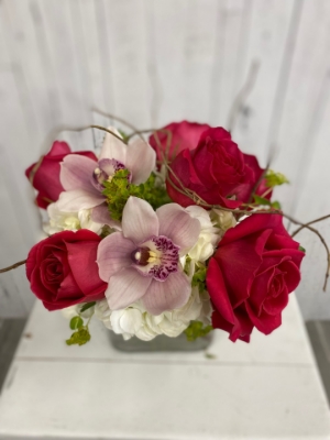 Show details for Sugar Rush Supreme Picture of Sugar Rush Supreme