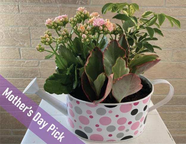 Picture of Mom's Garden Planter- Great add on save $25!