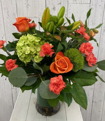 Show details for Impressions Picture of Impressions