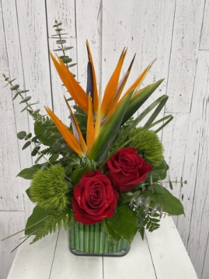 Show details for Aloha Sunset Picture of Aloha Sunset