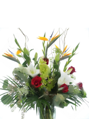 Show details for Lavish Love Picture of Lavish Love