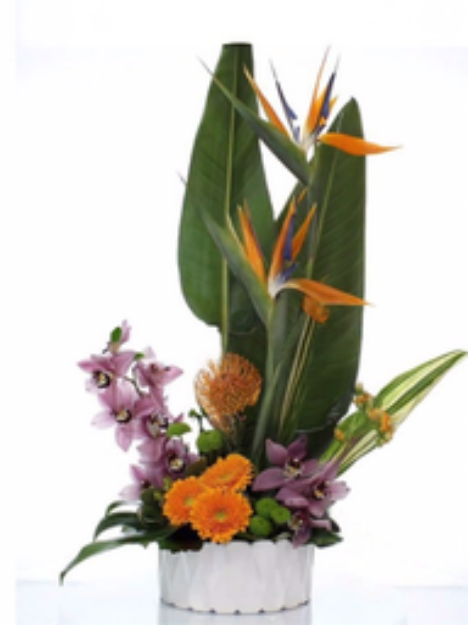 Picture of Tropical Retreat