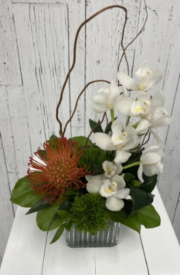 Show details for Orchid Oasis Picture of Orchid Oasis