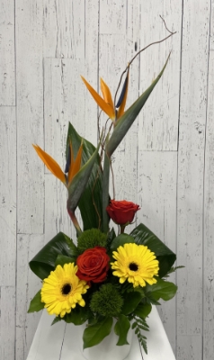 Show details for Spring Break Picture of Spring Break