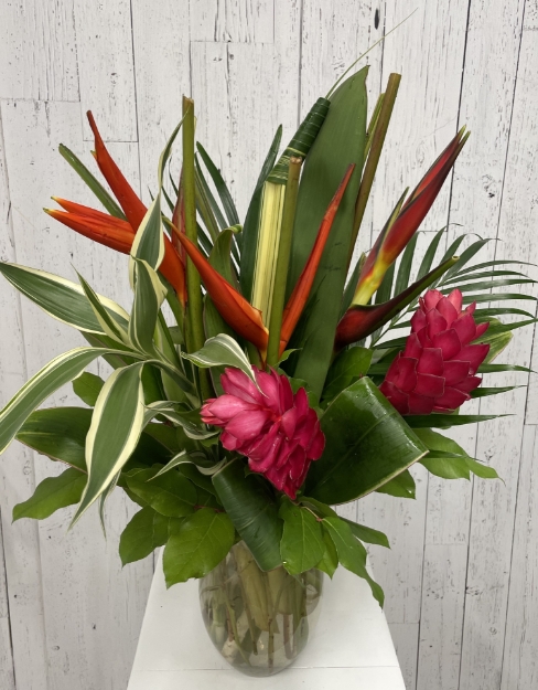 Picture of Tropical  Dream