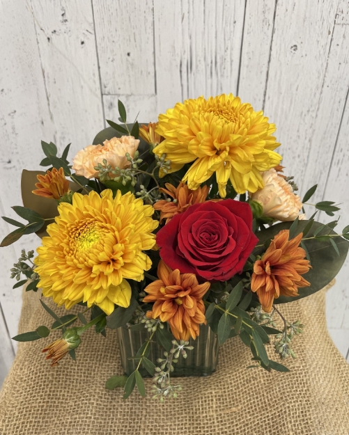Picture of Fall Bright 