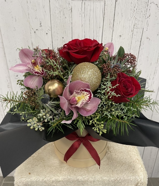 Picture of Santa’s Secret Surprise