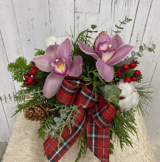 Picture of Sugarplum Dreams