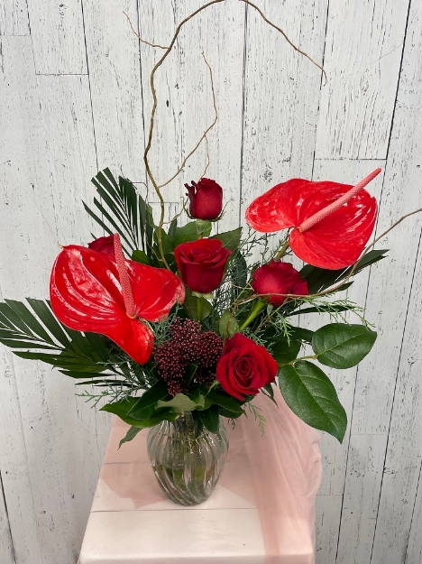 Picture of Island Romance 