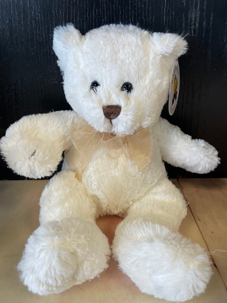 Picture of Teddy Bear