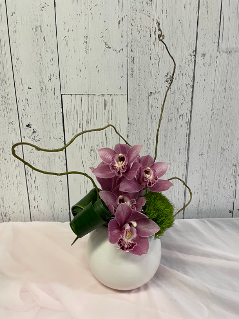 Picture of Orchid Elegance