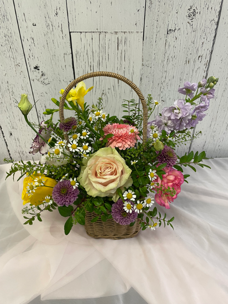 Picture of Mom’s Garden Meadow 